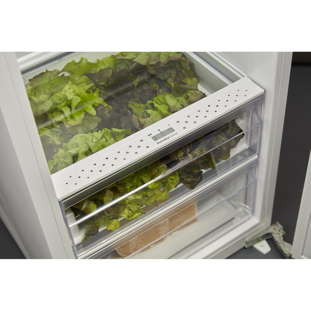 Close up of fresh lettuce in the refrigerator's humidity control drawer