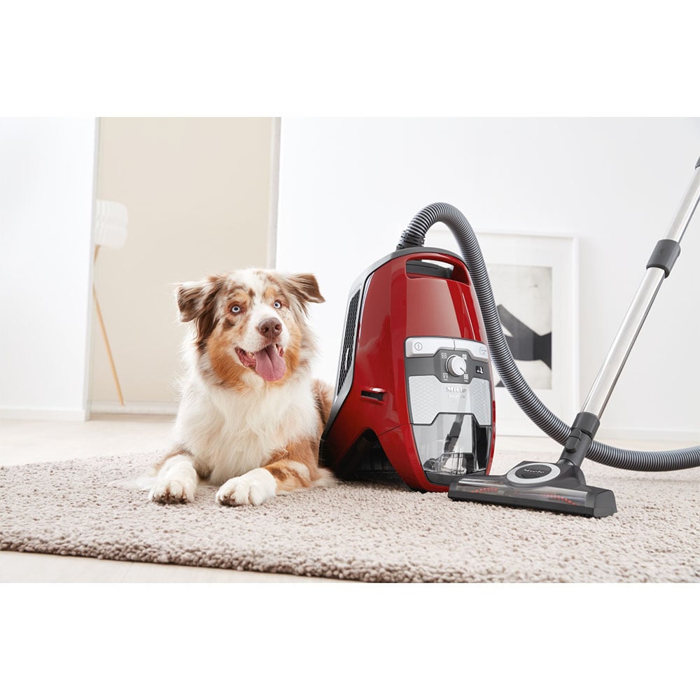 Miele Blizzard CX1 Cat & Dog Bagless Vacuum Cleaner with HEPA Filter Autumn Red 10502220