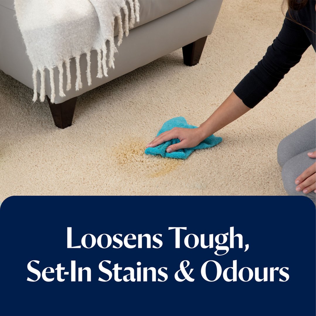 Bissell Stain Pretreat for Carpet & Upholstery 1147E