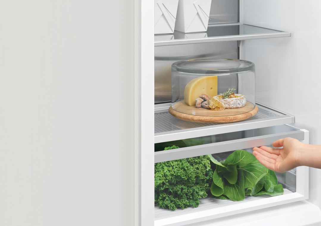 Fisher & Paykel 60cm Series 9 Integrated Dual Zone Refrigerator RS6019S2R1