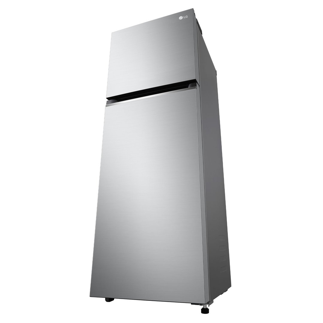 LG 243L Top Mount Refrigerator in Stainless Finish GT-1S