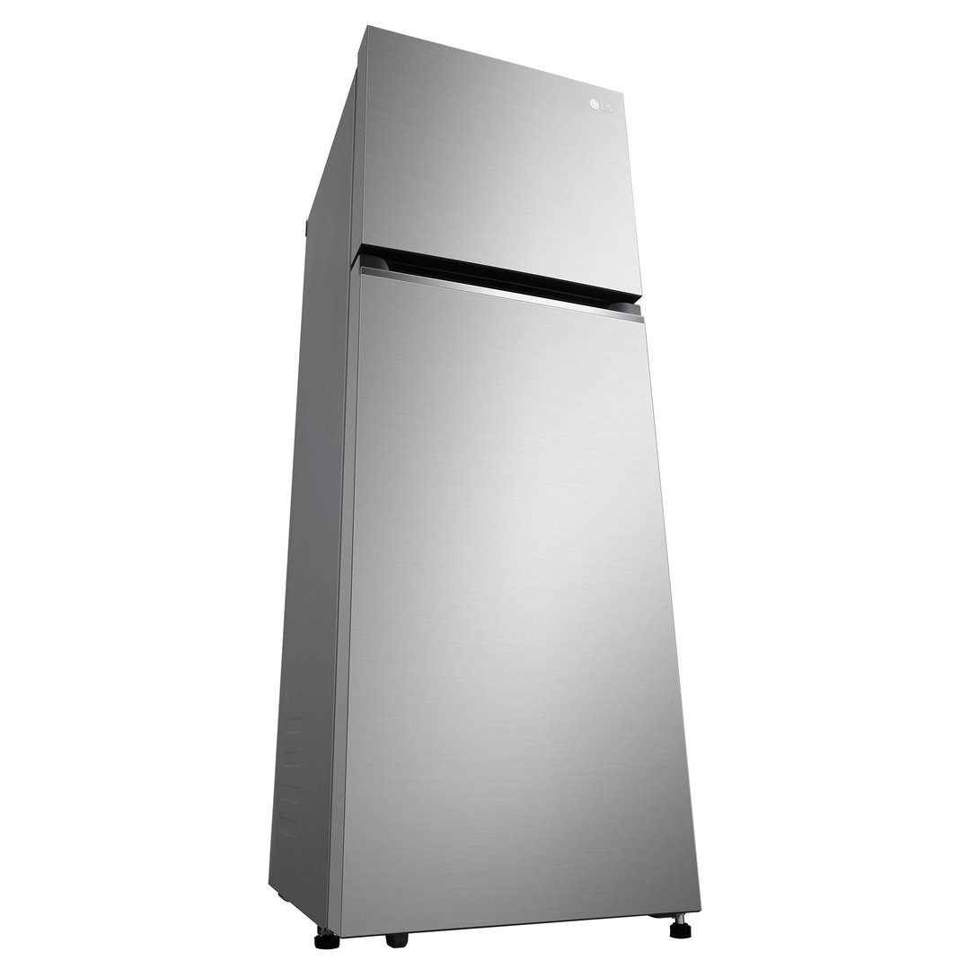 LG 243L Top Mount Refrigerator in Stainless Finish GT-1S